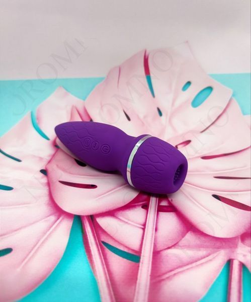 Вакуумний стимулятор клітора з вібрацією Chisa Intimate Melody, фіолетовий 5621111 /CN-550656211 фото