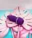 Вакуумний стимулятор клітора з вібрацією Chisa Intimate Melody, фіолетовий 5621111 /CN-550656211 фото 2