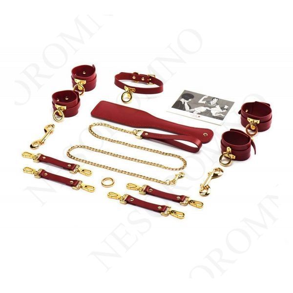 Набір BDSM Валіза Бажаний червоний шкіряний Kinky Tools Set UPKO U60738 фото