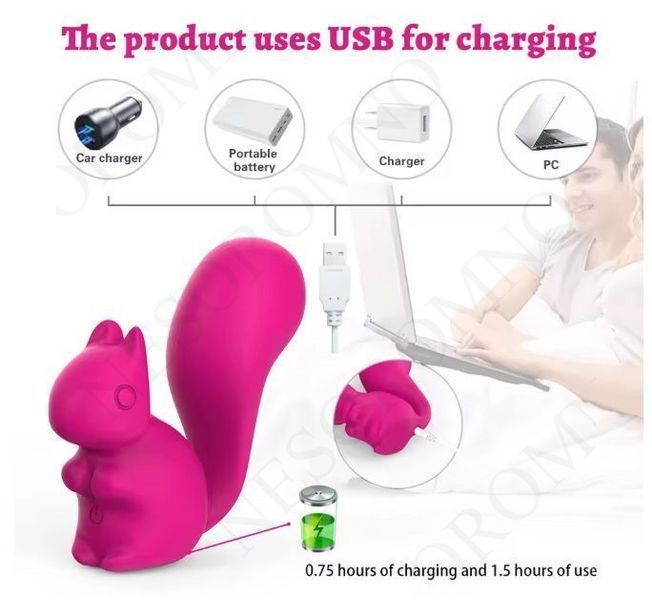 Міні-вібратор кліторальний Every Night Toys Debbie у формі білочки рожевий, 10 режимів вібрації 20572 /YAI707-002 фото