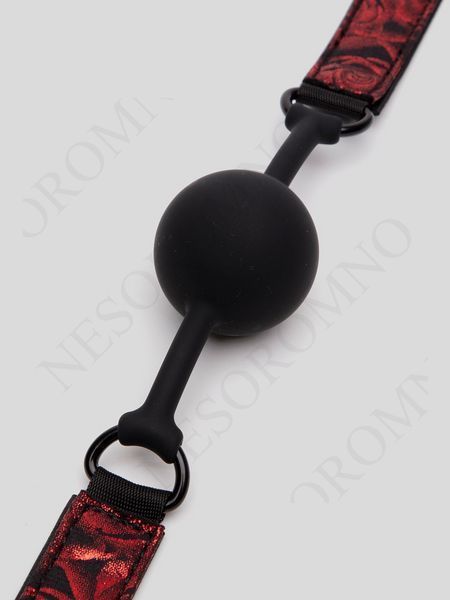 Кляп силіконовий Fifty Shades of Grey Sweet Anticipation Reversible Silicone Ball Gag FS83666 фото