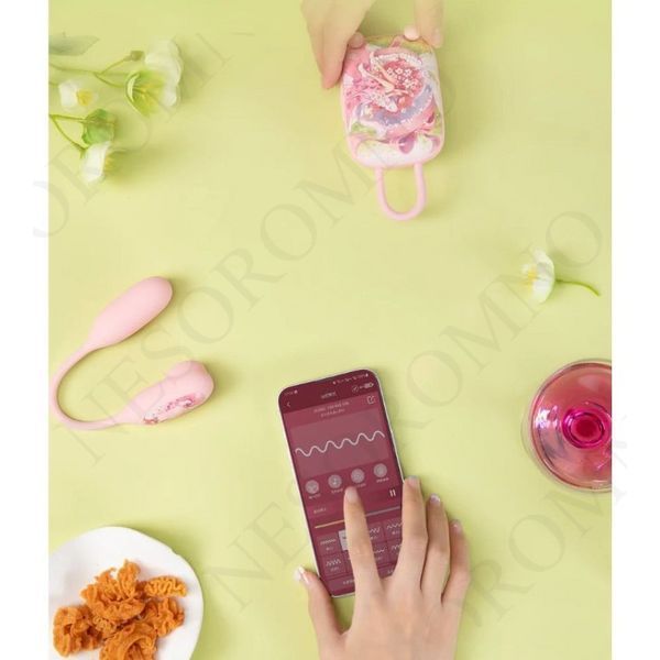 Віброяйце та вакуумний стимулятор для клітора 2в1 BeYourLover Magic Suitcase у зарядному кейсі 390582/VX357D фото