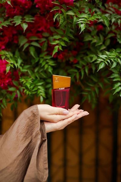 Духи с феромонами женские SHIATSU Pheromone Fragrance women red, 50 мл HOT67134 фото
