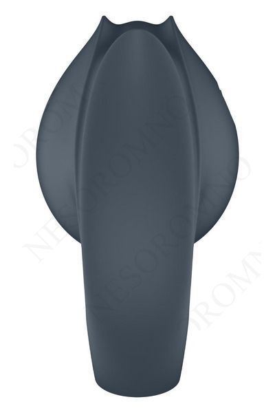 Вібратор для пар Satisfyer Perfect Pair 2 з кільцем для пальців, сірий ST4043746 фото