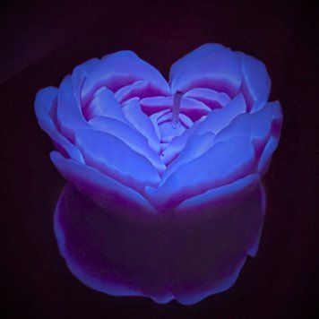 Cвiчка люмінісцентна низькотемпературна GlowKink фіолетова, М GK208908 фото