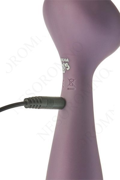 Вібромасажер двосторонній з функцією нагріву Dream toys Royal Fantasies Panacea фіолетовий DT21729 фото