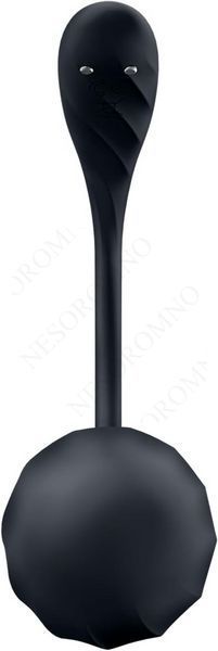 Вібратор у трусики Satisfyer Ribbed Petal з додатком та пультом, чорний ST4002767 фото