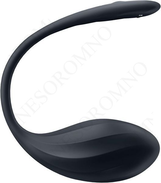 Вібратор у трусики Satisfyer Ribbed Petal з додатком та пультом, чорний ST4002767 фото