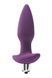 Вібруюча анальна пробка Dream Toys Flirts, фіолетова DT101212 фото 2