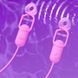 Затискачі для сосків з вібрацією "GALAKUin" USB 10 режимів - Рожевий - Садо-мазо X0000563-1 фото 2