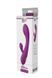 Подвійний вібратор Dream Toys VIBES OF LOVE HONEY BUNS PURPLE DT21378 фото 2