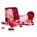 Набір для анального тренування Dream Toys Amour The Passion Of Love з намистинами та аксесуарами DT104336 фото 2