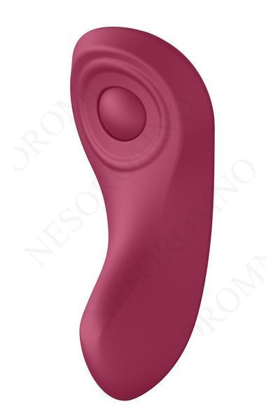 Набір секс іграшок Satisfyer Partner Box 1 (Double Joy + Sexy Secret) T360342 фото