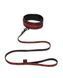 Нашийник та повідець Fifty Shades of Grey Sweet Anticipation Reversible Faux Leather Collar and Lead FS83667 фото 1