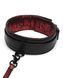 Нашийник та повідець Fifty Shades of Grey Sweet Anticipation Reversible Faux Leather Collar and Lead FS83667 фото 2