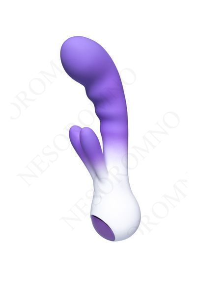 Вібратор-кролик зі світлодіодом Every Night Toys для точки G, фіолетовий градієнт OD-8309RV/Фіолетовий фото
