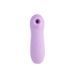 Вакуумний вібратор Chisa Irresistible Touch Purple 32831/CN-844332831 фото 2