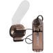 Вібратор для яєчок Pipedream Dual Vibrating Ball Teaser з пультом керування PP22487 фото 1