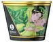 Свічка для масажу Shunga Massage Candle Exotic Green Tea із ароматом зеленого чаю, 170 мл T274511 фото 2