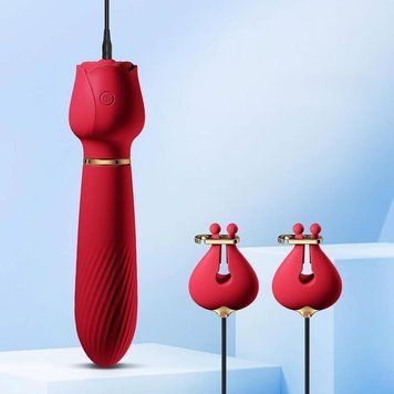 Силіконовий вібратор 2-в-1 з вібро-затискачами для сосків OEM Nipple Clamps 10 режимів Рожевий X00001253 фото