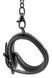 Поножі з фіолетовим тисненням Dream toys BLAZE Luxury Fetish на ланцюжку чорного кольору DT21270 фото 4