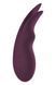 Вібратор для клітора та сосків Dream Toys Essentials Fluttering Stimulator, фіолетовий DT22101 фото 1