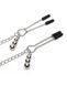 Нашийник із затискачами на соски Fifty Shades of Grey Play Nice FS80024 фото 3